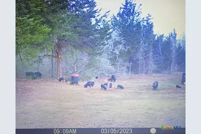 1698 County Road 327, Caldwell, TX 77836 - Photo 17