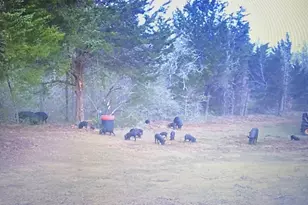 1698 Co Rd 327, Caldwell, TX 77836 - Photo 17