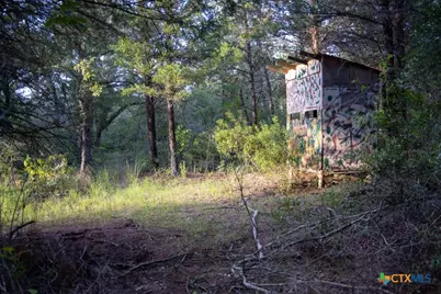 1698 County Road 327, Caldwell, TX 77836 - Photo 15