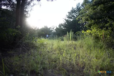 1698 County Road 327, Caldwell, TX 77836 - Photo 21