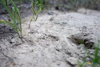 1698 County Road 327, Caldwell, TX 77836 - Photo 29