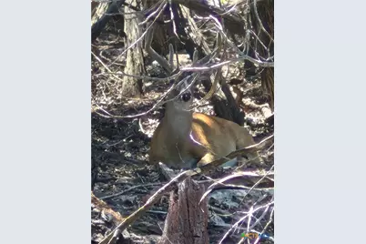 3602 Stillwood Lane, Lago Vista, TX 78645 - Photo 7