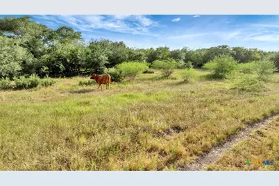 Tbd Private Road 4620, Francitas, TX 77961 - Photo 23
