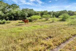 Tbd Private Road 4620, Francitas, TX 77961 - Photo 23