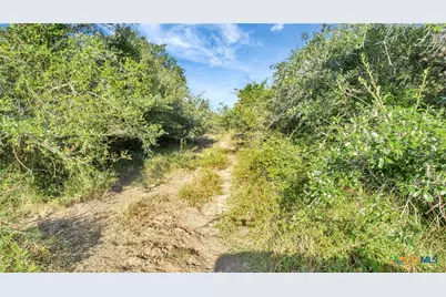 Tbd Private Road 4620, Francitas, TX 77961 - Photo 9