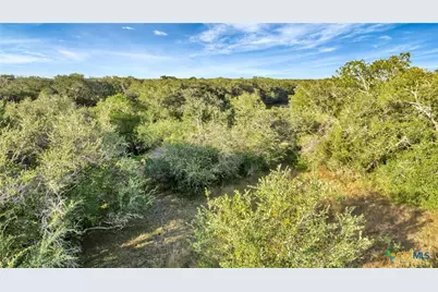 Tbd Private Road 4620, Francitas, TX 77961 - Photo 13