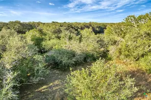 Tbd Private Road 4620, Francitas, TX 77961 - Photo 13