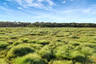 Tbd Private Road 4620, Francitas, TX 77961 - Photo 31