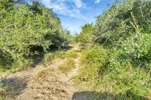 Tbd Private Road 4620, Francitas, TX 77961 - Photo 9