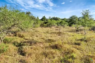 Tbd Private Road 4620, Francitas, TX 77961 - Photo 13