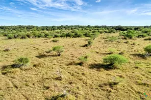 Tbd Private Road 4620, Francitas, TX 77961 - Photo 17