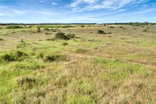 Tbd Private Road 4620, Francitas, TX 77961 - Photo 19