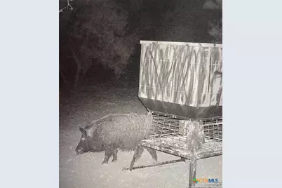 587 Valley Rd., Eldorado, TX 76936 - Photo 29