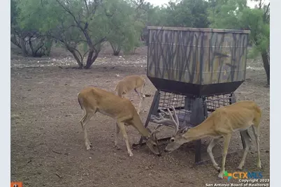 587 Valley Rd., Eldorado, TX 76936 - Photo 5