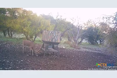 587 Valley Rd., Eldorado, TX 76936 - Photo 39