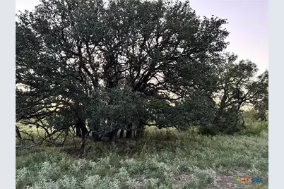 587 Valley Rd., Eldorado, TX 76936 - Photo 7