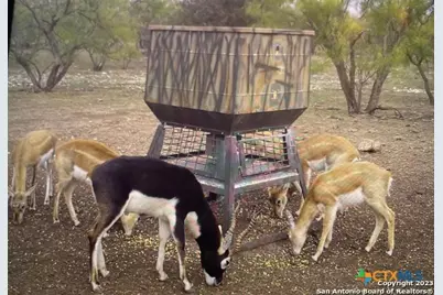 587 Valley Rd., Eldorado, TX 76936 - Photo 3