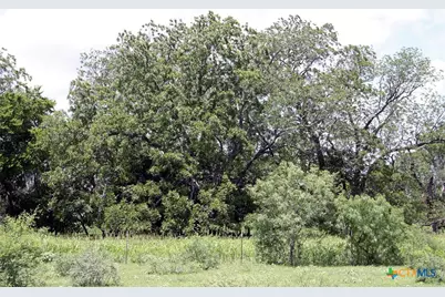 9411 Fm-86, Lockhart, TX 78644 - Photo 13