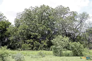 9411 FM86, Lockhart, TX 78644 - Photo 13