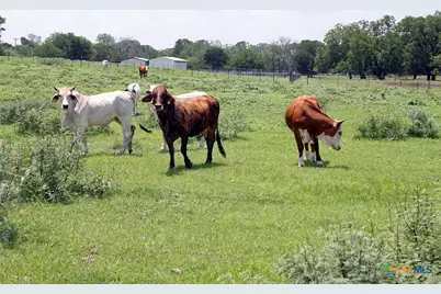 9411 Fm-86, Lockhart, TX 78644 - Photo 5