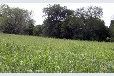 9411 Fm-86, Lockhart, TX 78644 - Photo 9
