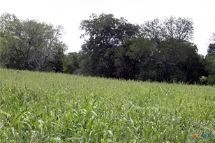 9411 FM86, Lockhart, TX 78644 - Photo 9