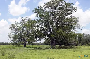 9411 FM86, Lockhart, TX 78644 - Photo 7