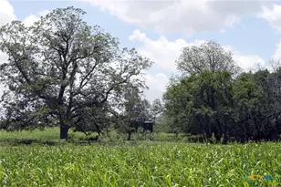 9411 FM86, Lockhart, TX 78644 - Photo 11
