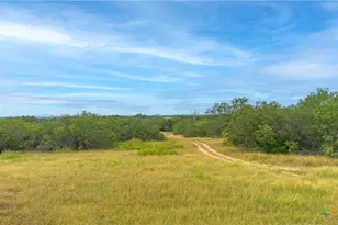 4425 US Hwy 90, Seguin, TX 78155 - Photo 5