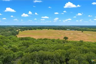 4425 US Hwy 90, Seguin, TX 78155 - Photo 7