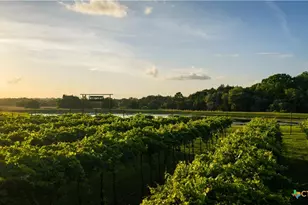 2080 Zimmerscheidt, Columbus, TX 78950 - Photo 15