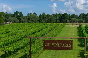 2080 Zimmerscheidt, Columbus, TX 78950 - Photo 11