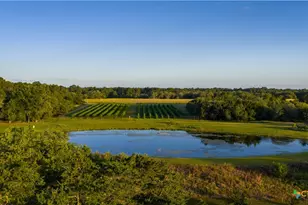 2080 Zimmerscheidt, Columbus, TX 78950 - Photo 3