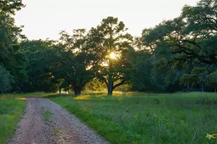 2080 Zimmerscheidt, Columbus, TX 78950 - Photo 9