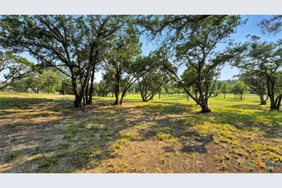 134 Stallion Estates Drive, Spring Branch, TX 78070 - Photo 13