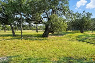 134 Stallion Estates Dr, Spring Branch, TX 78070 - Photo 9