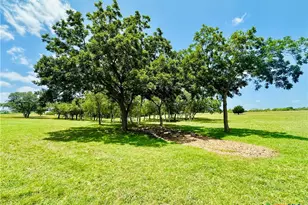 1020 E Fm 532, Hallettsville, TX 77964 - Photo 3