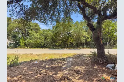 1107 High Point Lane, Spring Branch, TX 78070 - Photo 3