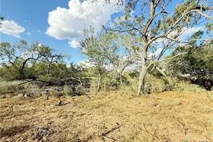 421 Zion Hill Rd, Seguin, TX 78155 - Photo 15