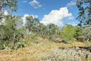 421 Zion Hill Rd, Seguin, TX 78155 - Photo 17