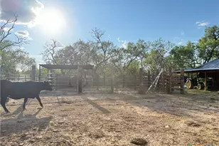 421 Zion Hill Rd, Seguin, TX 78155 - Photo 9