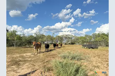 421 Zion Hill Road, Seguin, TX 78155 - Photo 13