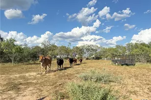 421 Zion Hill Rd, Seguin, TX 78155 - Photo 13