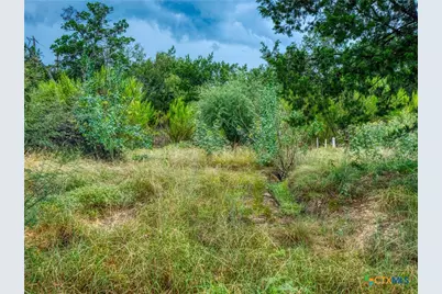 Tbd (Lot 130A) Kendall Road, Spicewood, TX 78669 - Photo 21