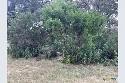 1640 Comfort, Canyon Lake, TX 78133 - Photo 3