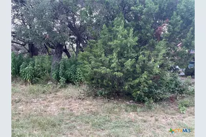 1640 Comfort, Canyon Lake, TX 78133 - Photo 1