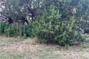 1640 Comfort, Canyon Lake, TX 78133 - Photo 1