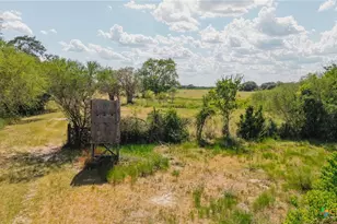 1662 Jentry Rd, Inez, TX 77968 - Photo 9