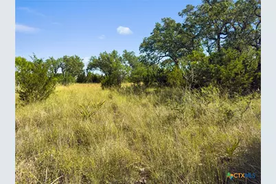 820 Stone Ridge Mountain Drive, Round Mountain, TX 78663 - Photo 15