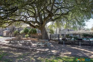 406 T Bar M Dr, New Braunfels, TX 78132 - Photo 25